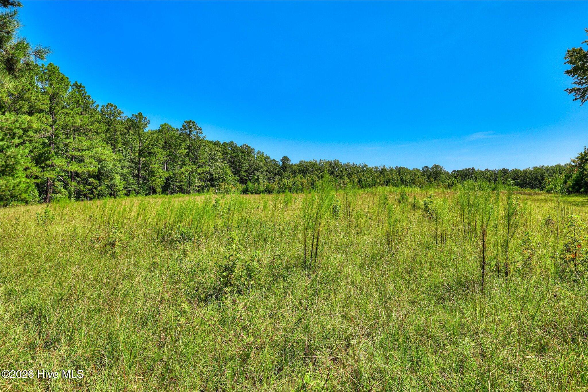 170 Landing Road Property Photo 25