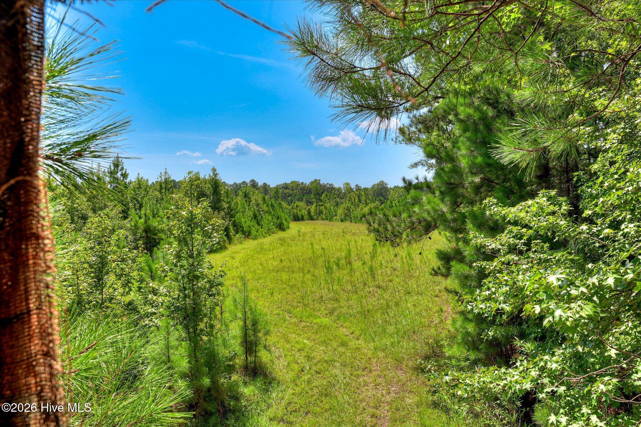 170 Landing Road Property Photo 26