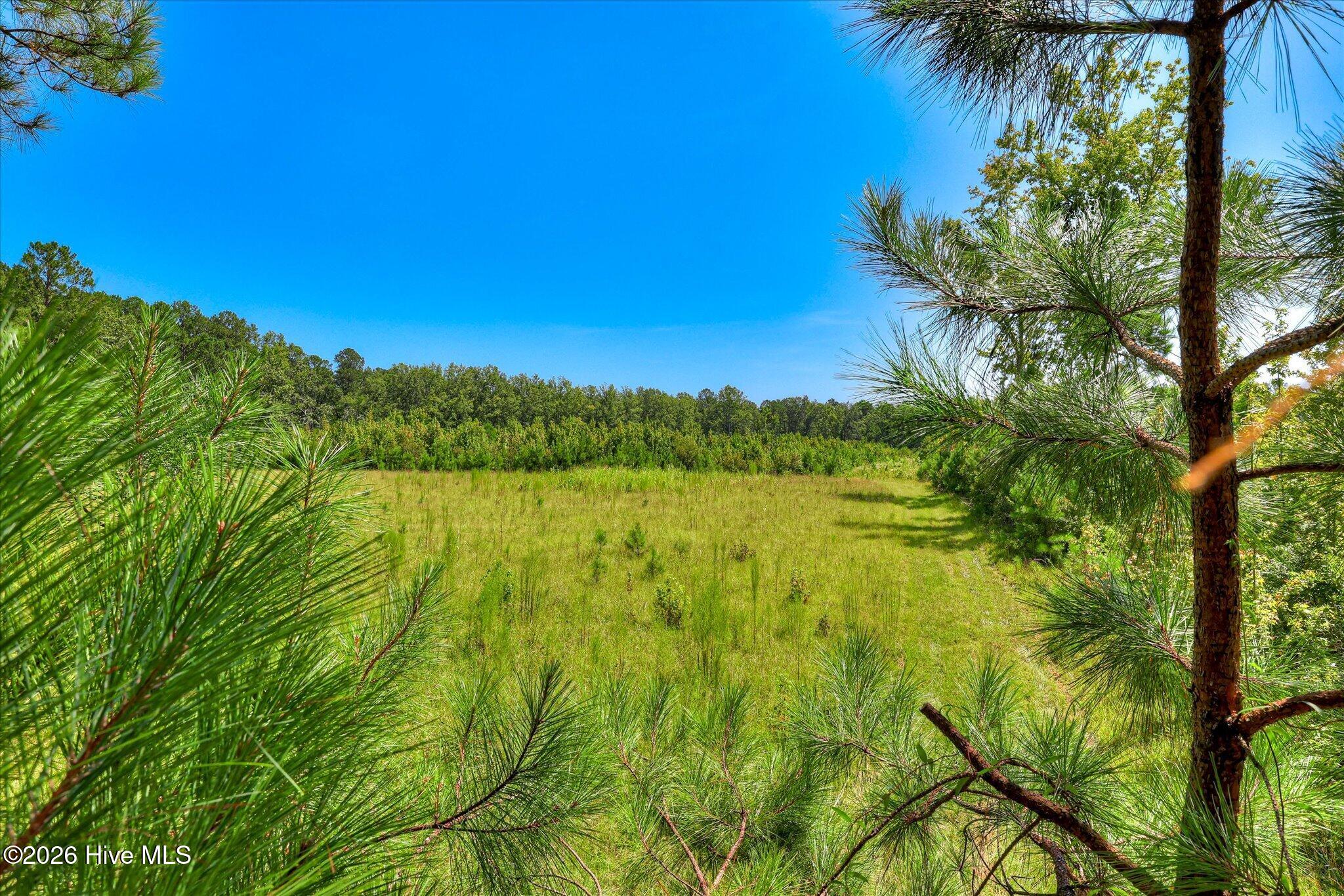 170 Landing Road Property Photo 28