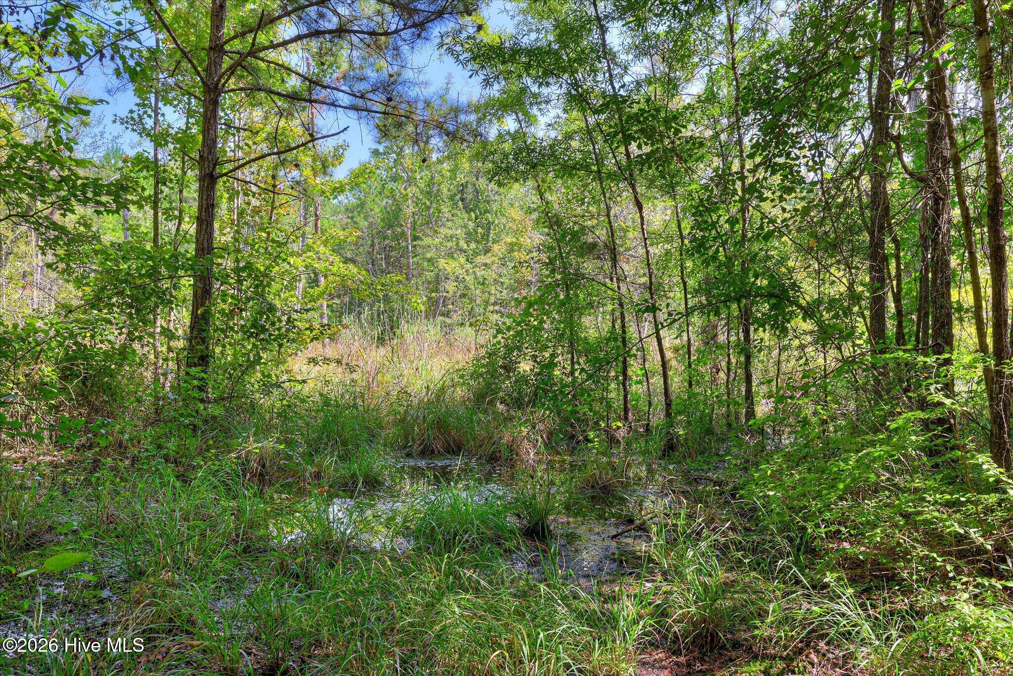 170 Landing Road Property Photo 38