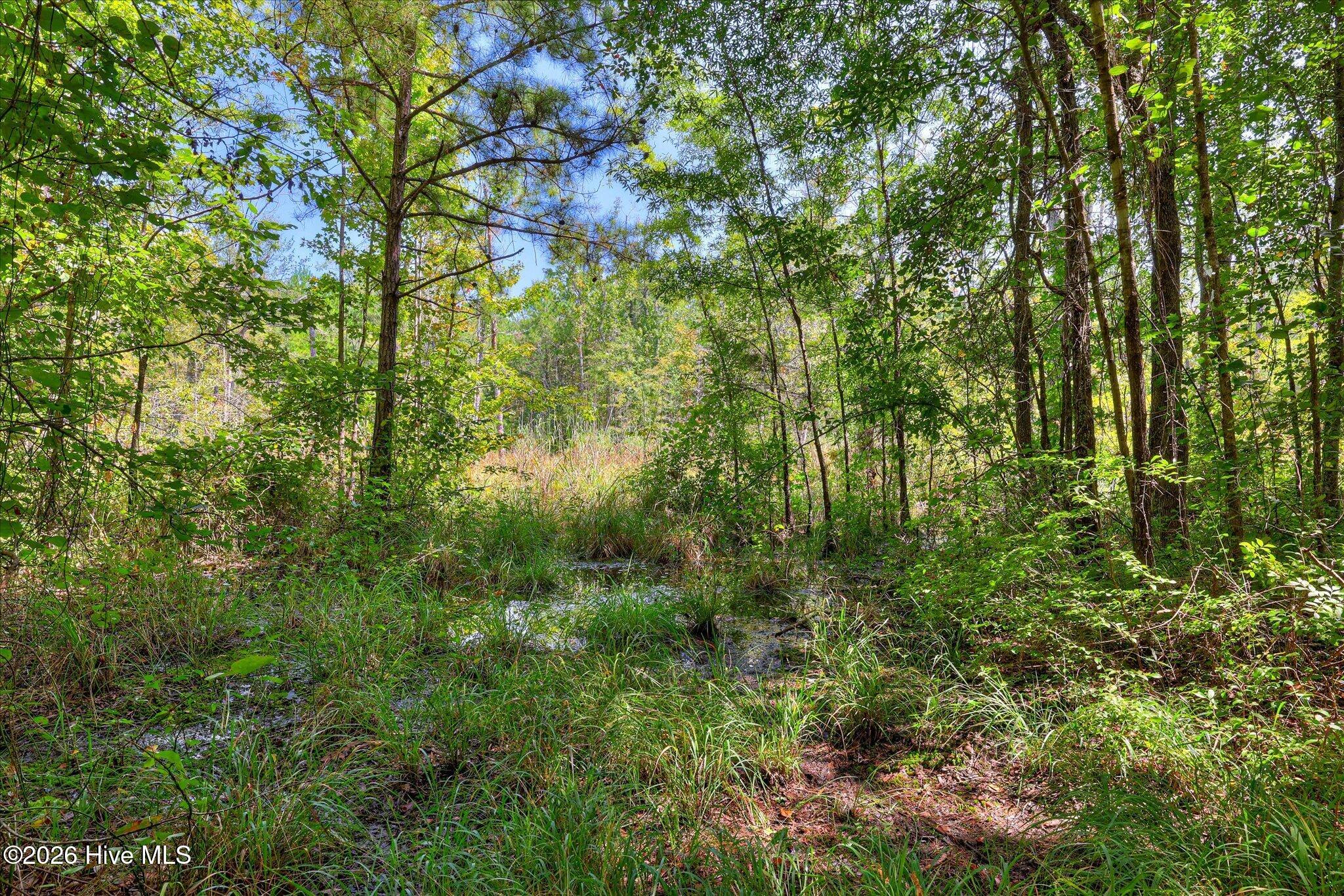 170 Landing Road Property Photo 39