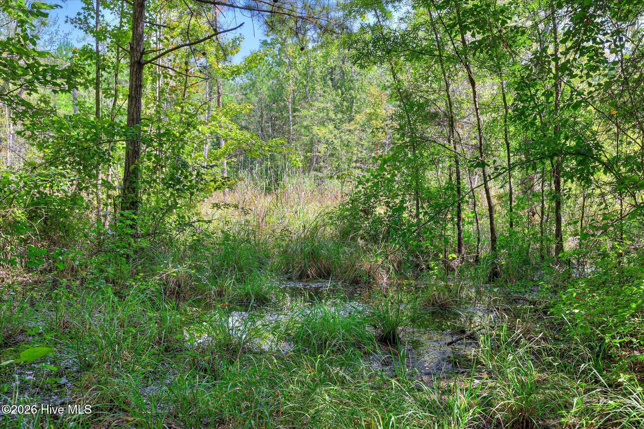 170 Landing Road Property Photo 40