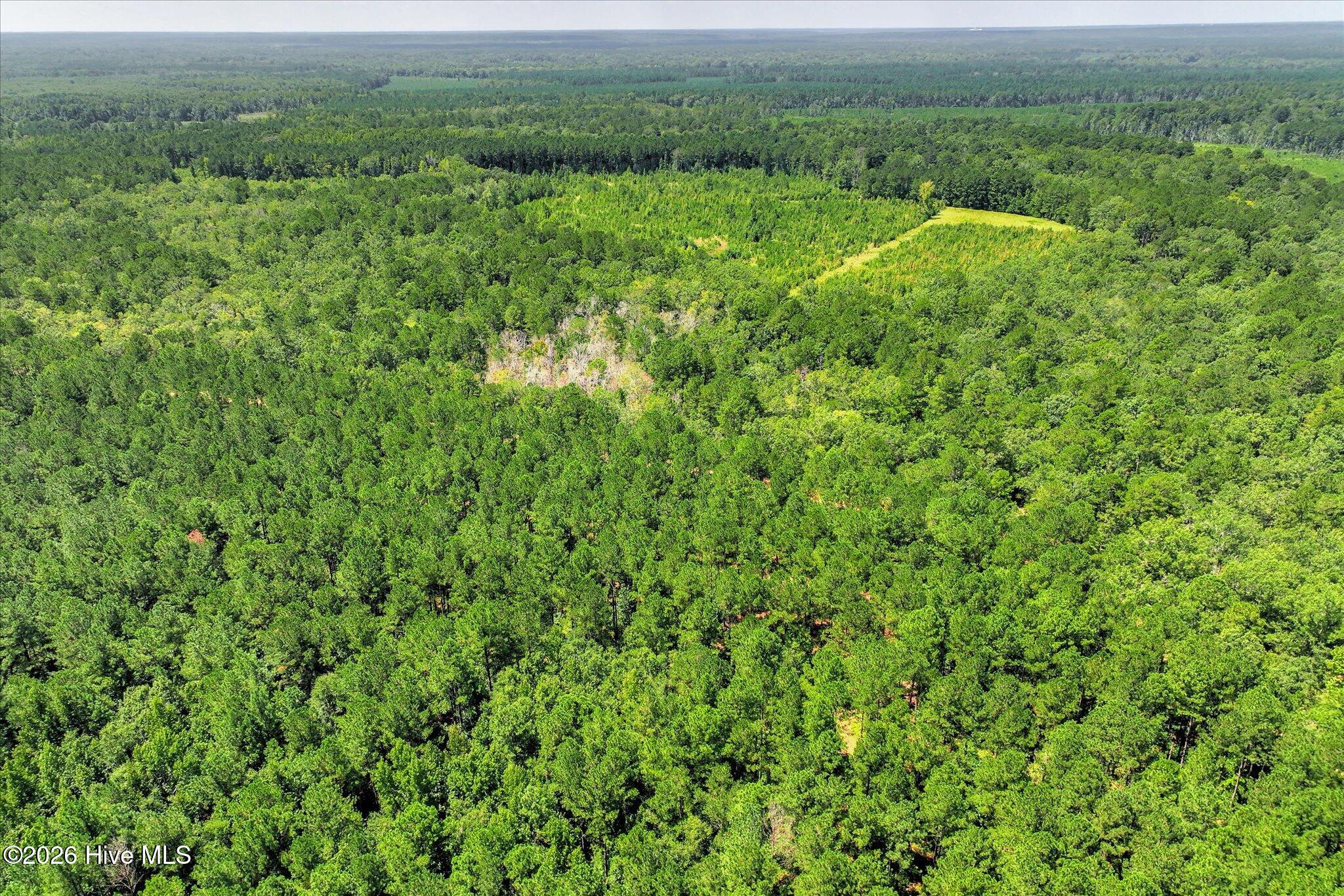 170 Landing Road Property Photo 71