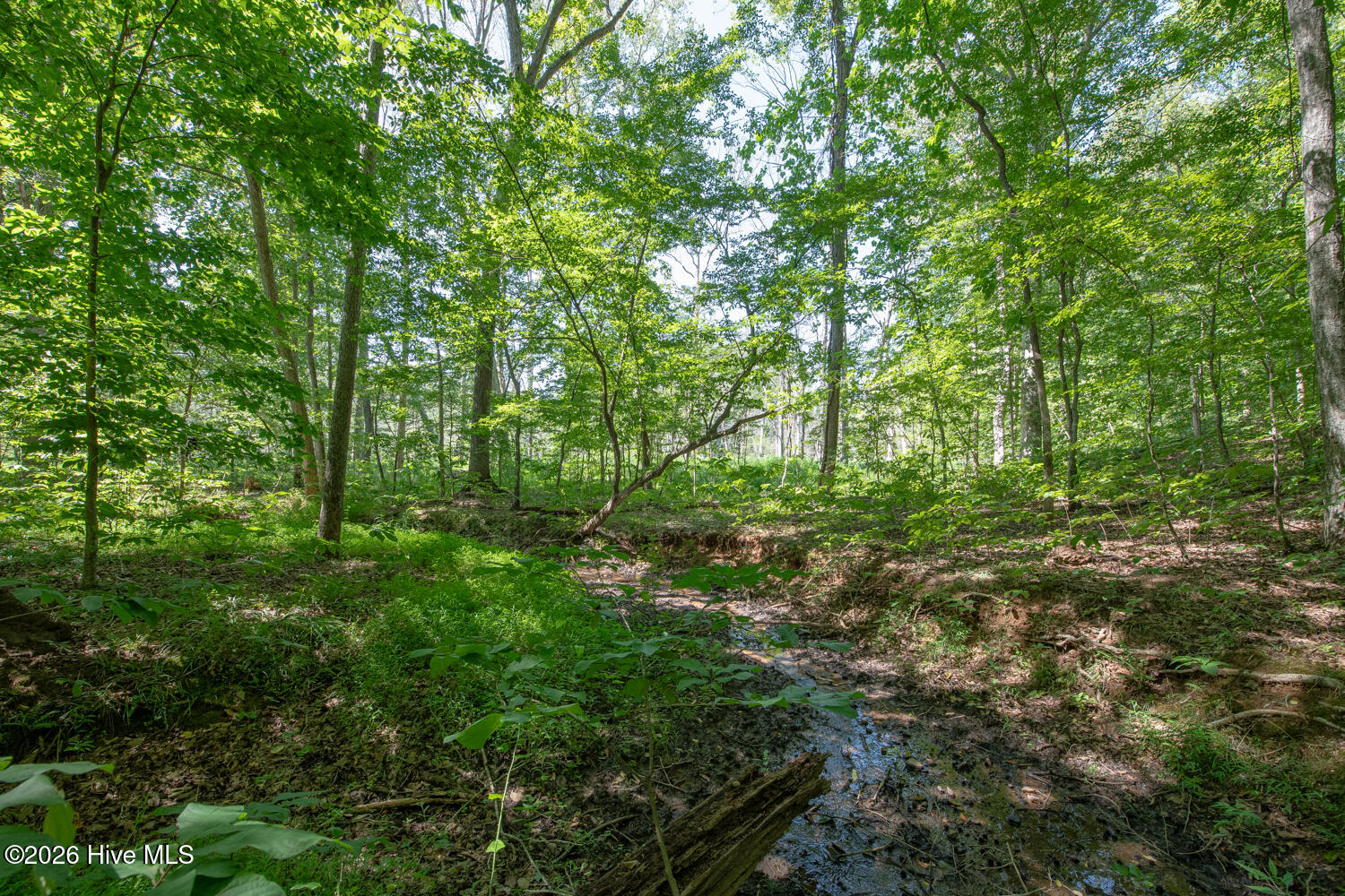 8942 Spearman Road Property Photo 6