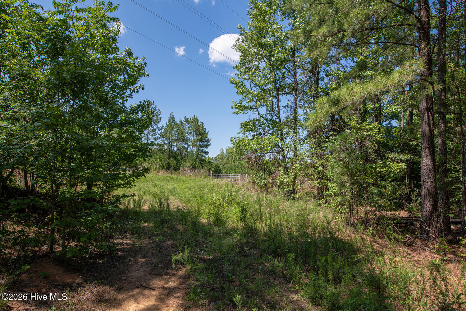 8942 Spearman Road Property Photo 13