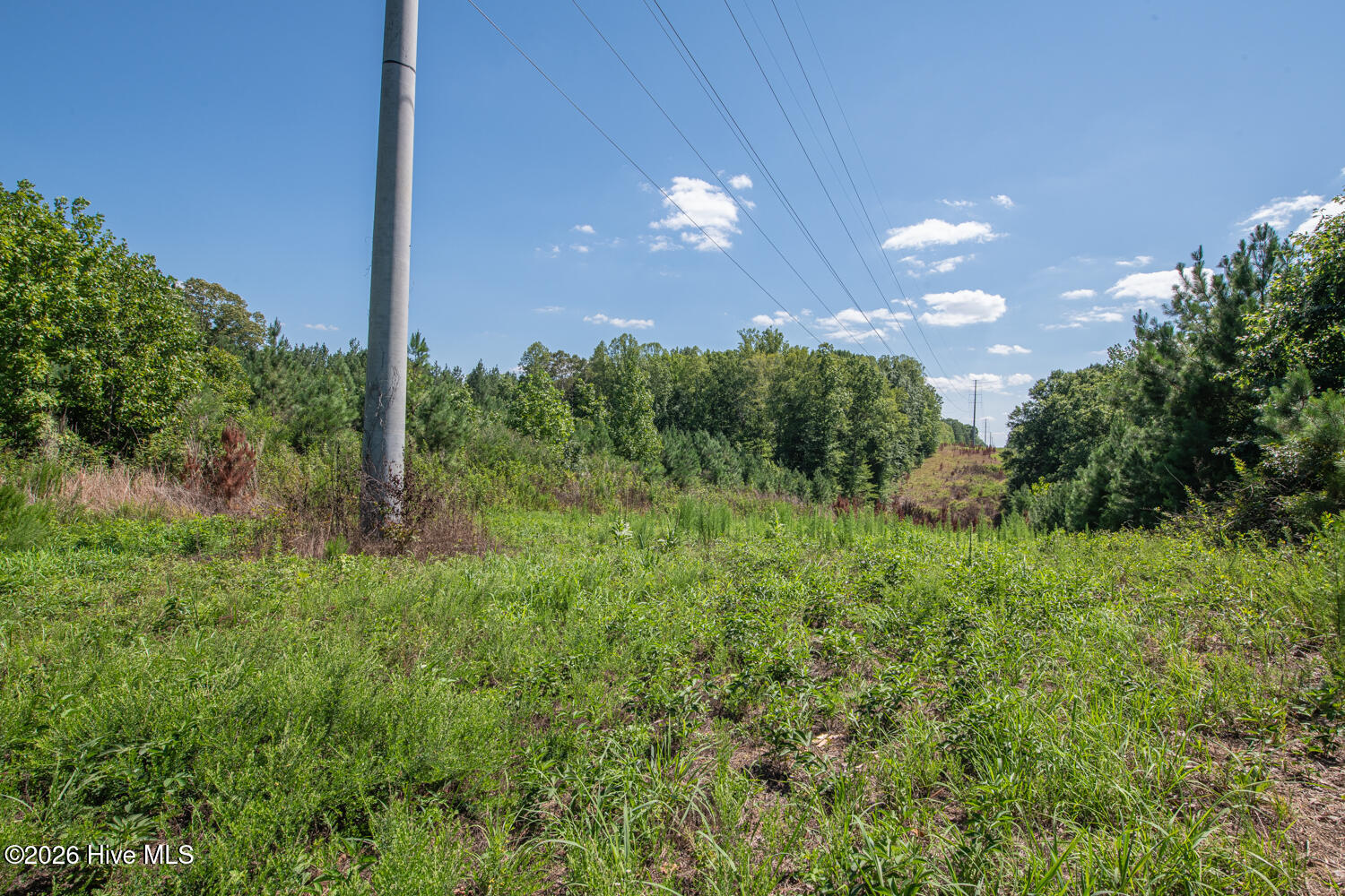 8942 Spearman Road Property Photo 15