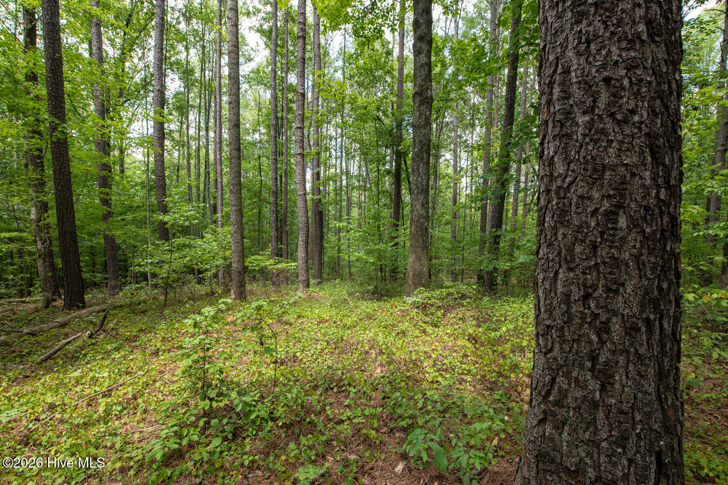 8942 Spearman Road Property Photo 19