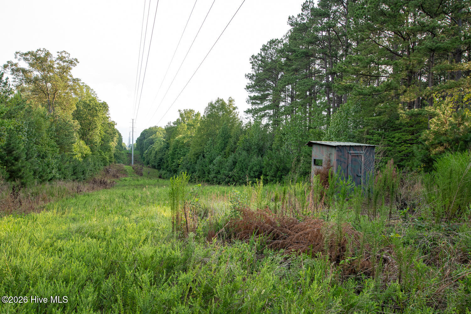 8942 Spearman Road Property Photo 22