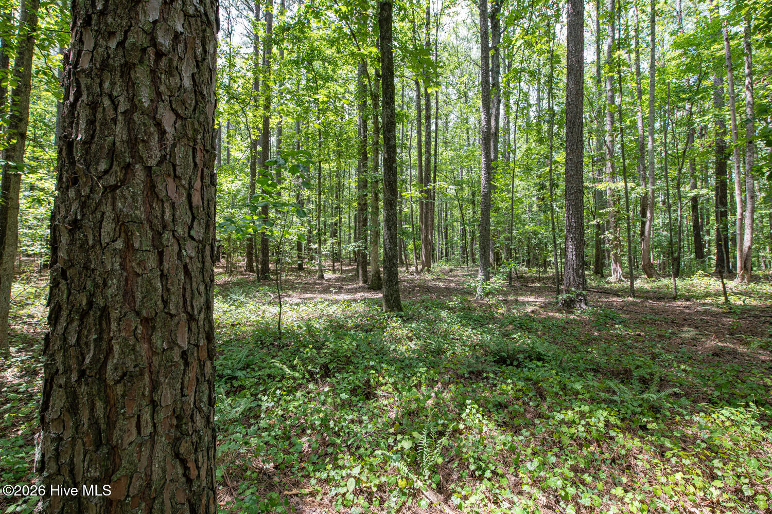 8942 Spearman Road Property Photo 23