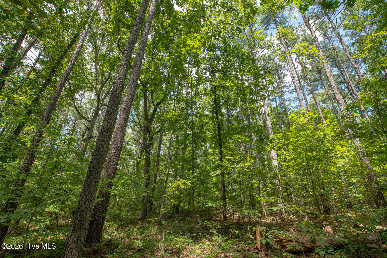 8942 Spearman Road Property Photo 25