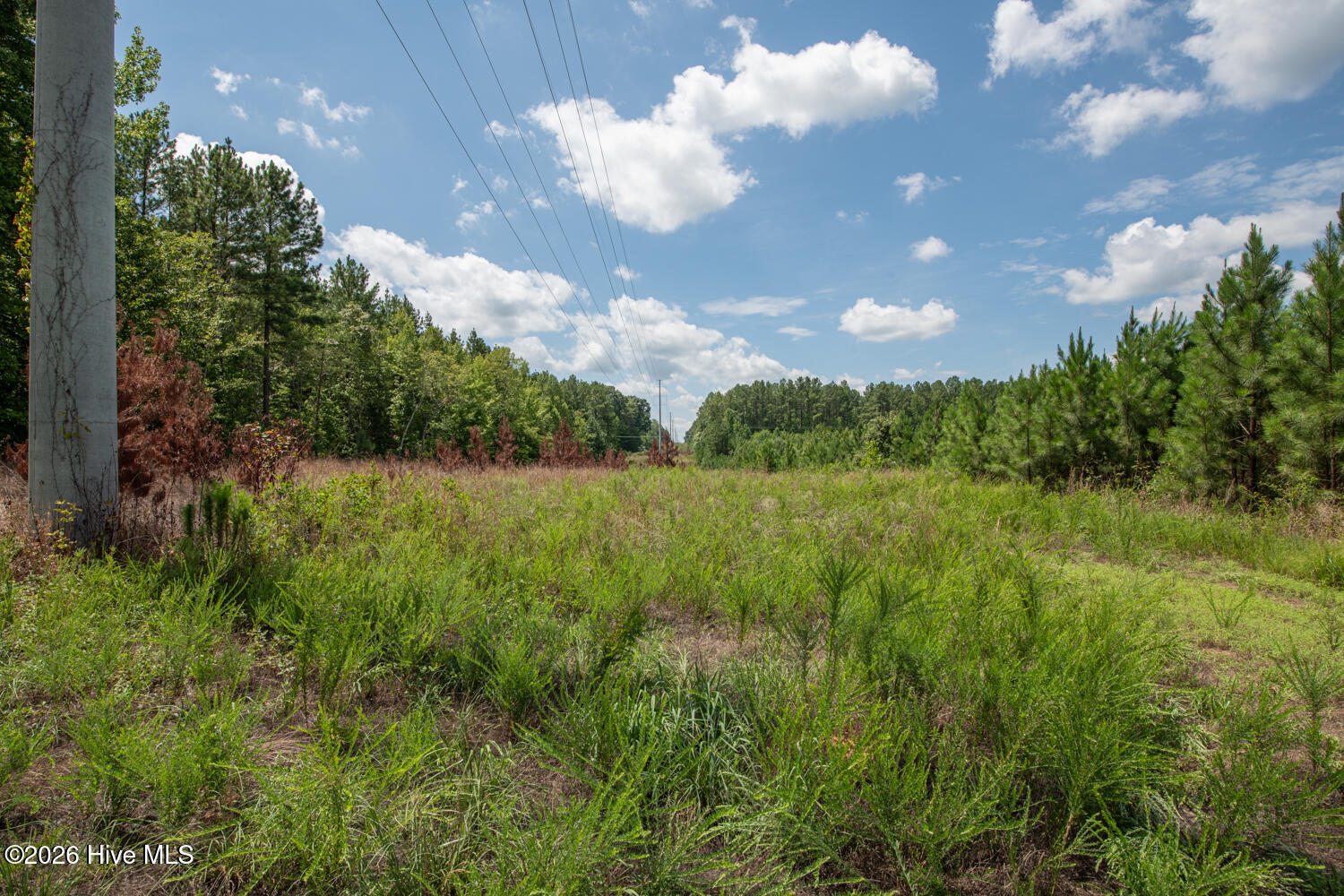 8942 Spearman Road Property Photo 28