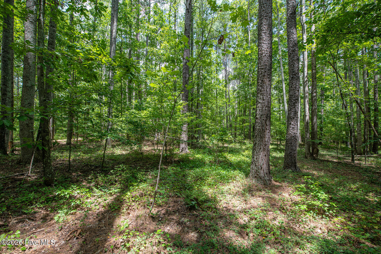 8942 Spearman Road Property Photo 29