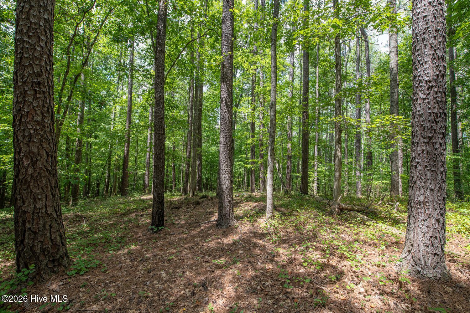8942 Spearman Road Property Photo 31