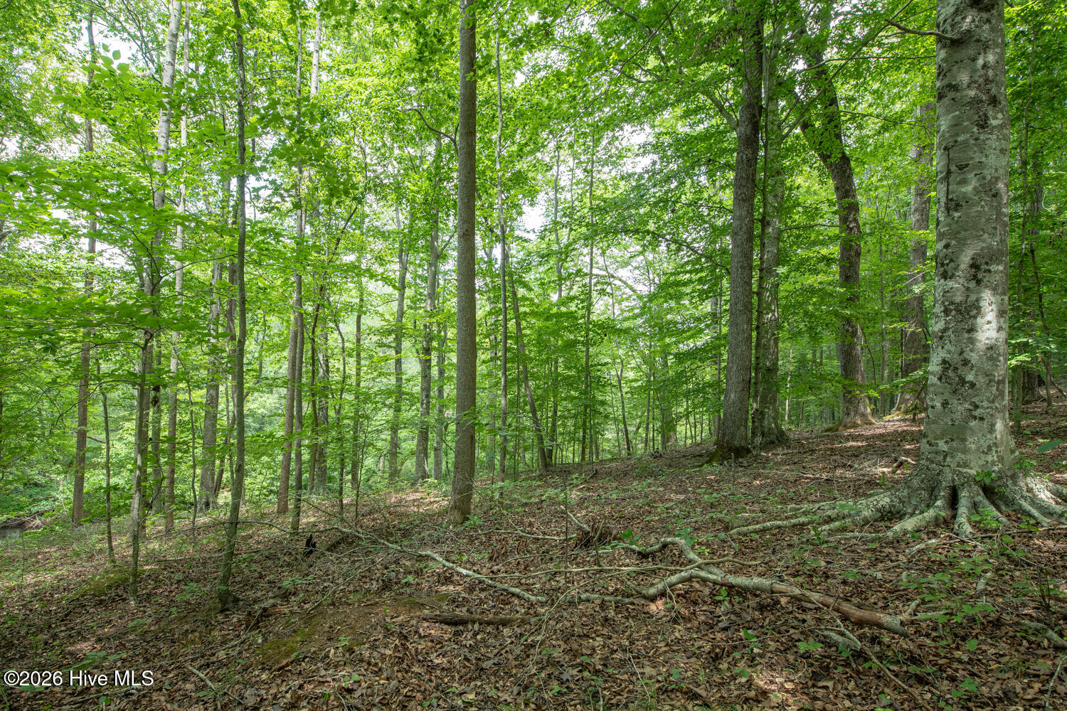 8942 Spearman Road Property Photo 32