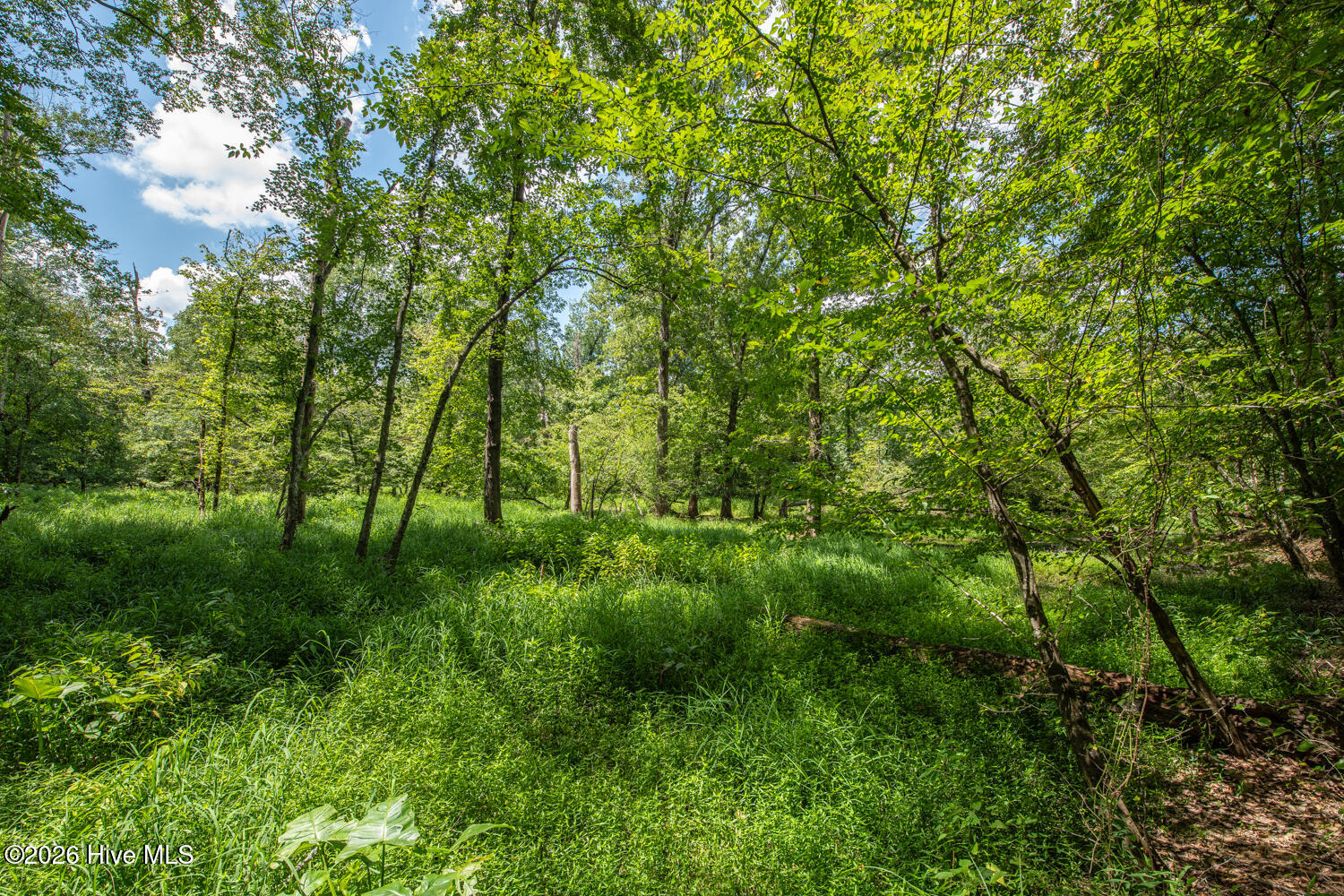 8942 Spearman Road Property Photo 33