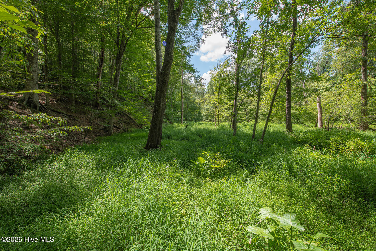 8942 Spearman Road Property Photo 34