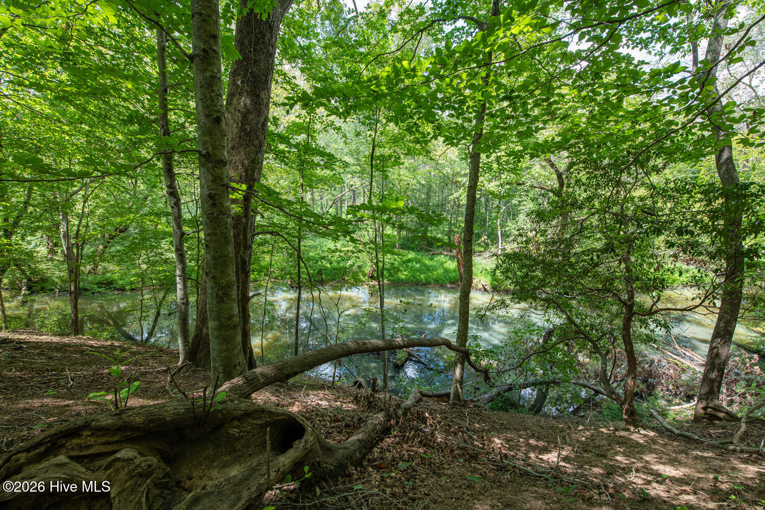 8942 Spearman Road Property Photo 35