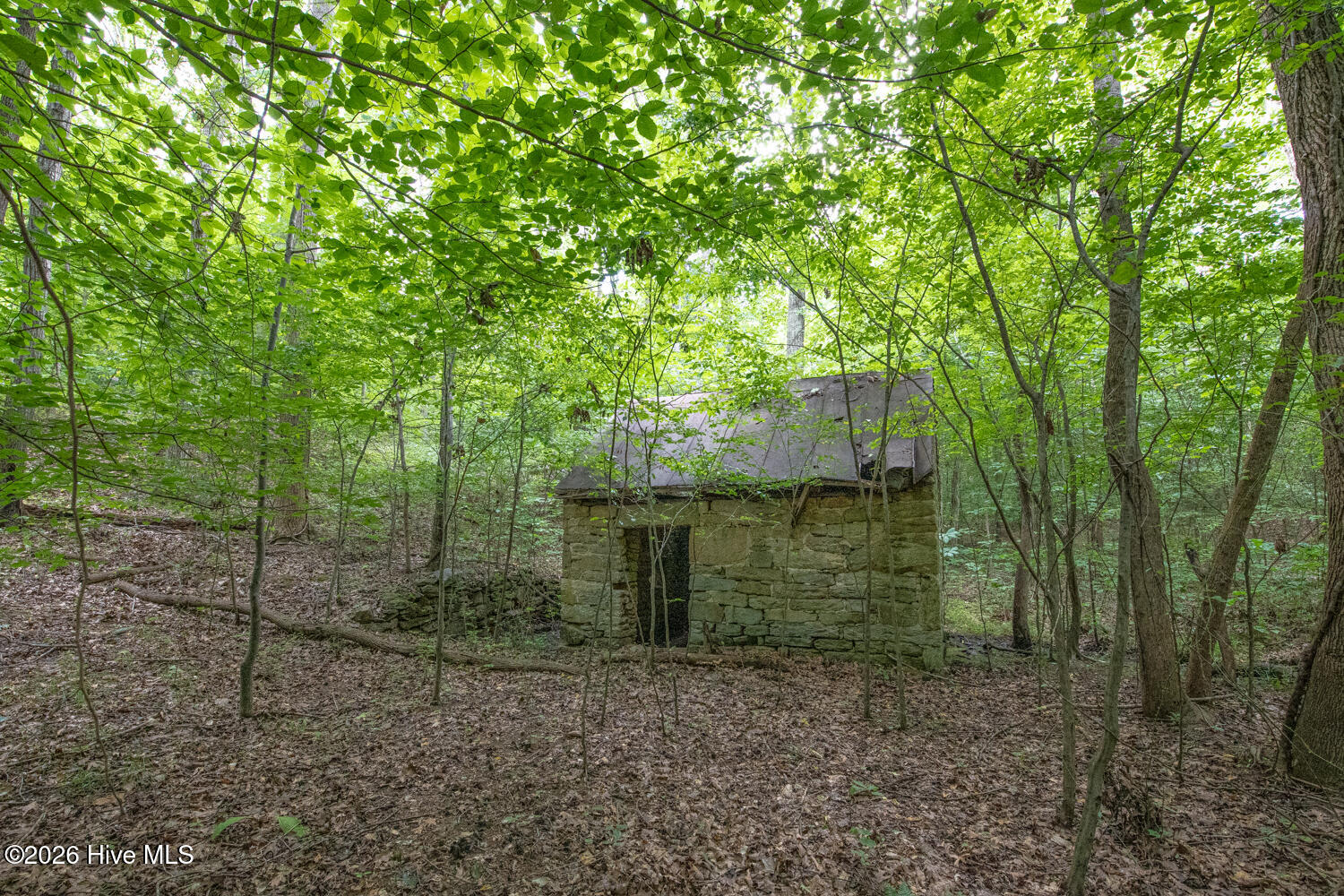 8942 Spearman Road Property Photo 36
