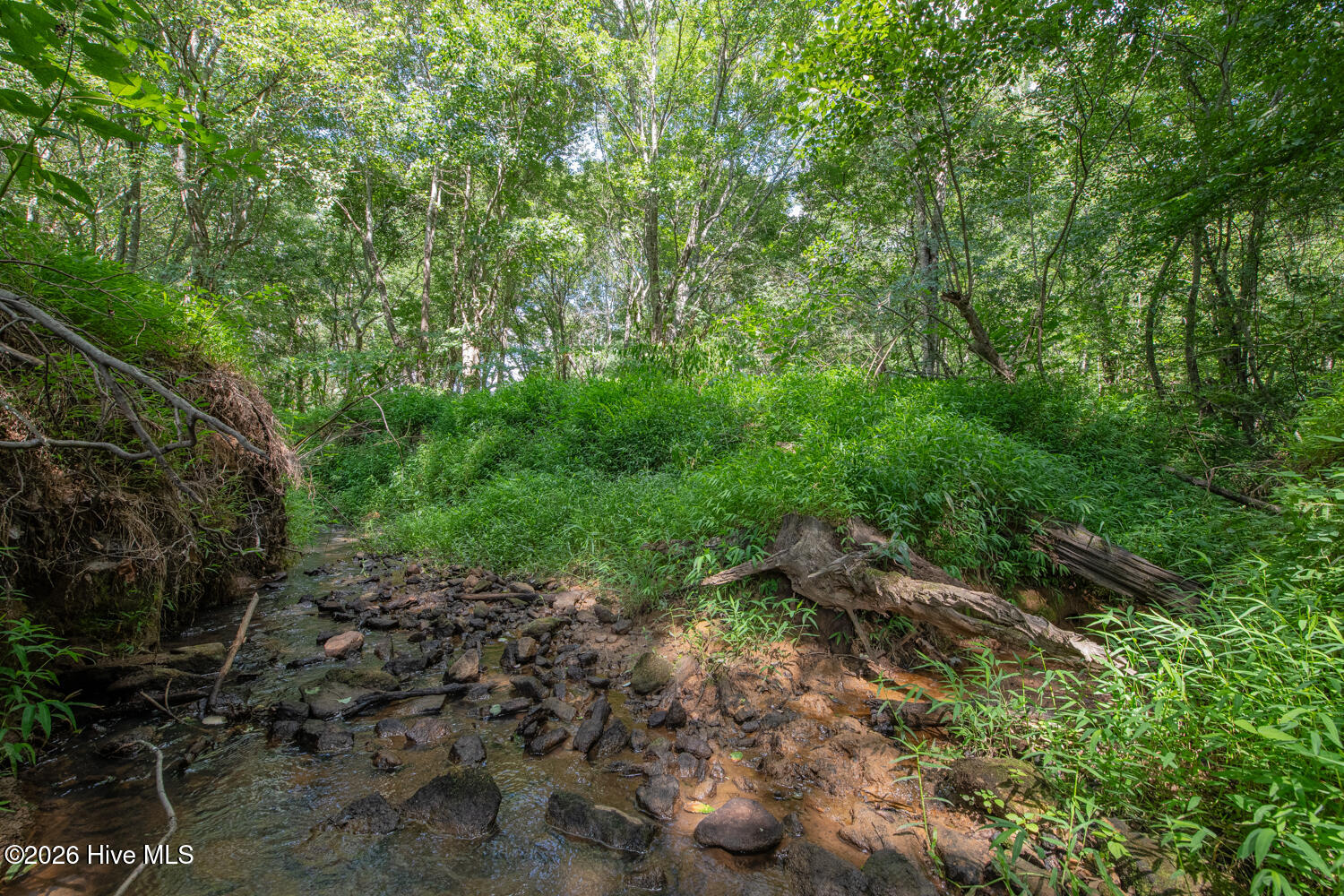 8942 Spearman Road Property Photo 39