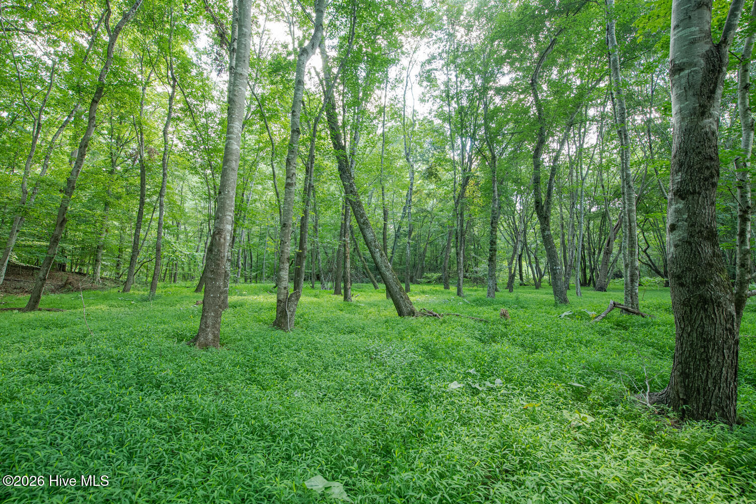 8942 Spearman Road Property Photo 40