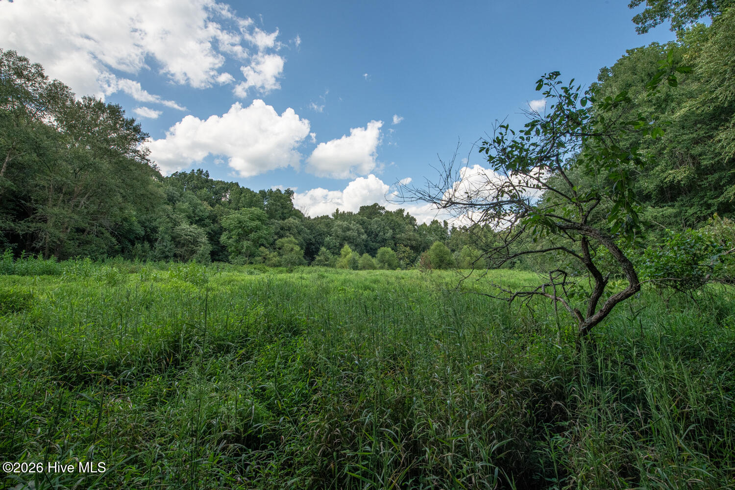 8942 Spearman Road Property Photo 41