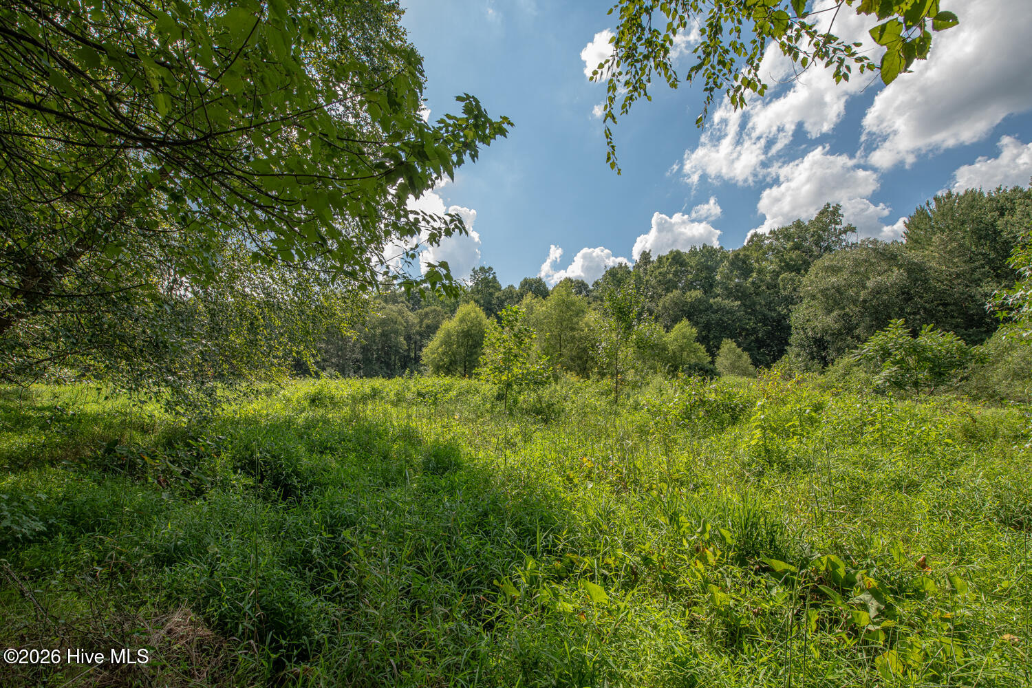 8942 Spearman Road Property Photo 42