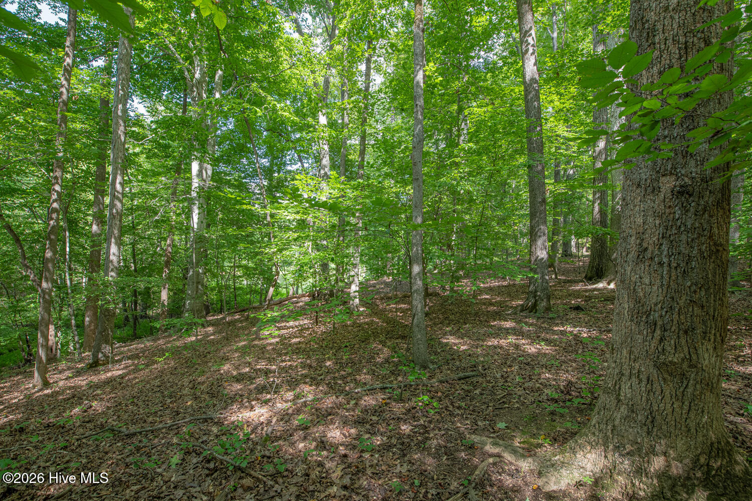 8942 Spearman Road Property Photo 43
