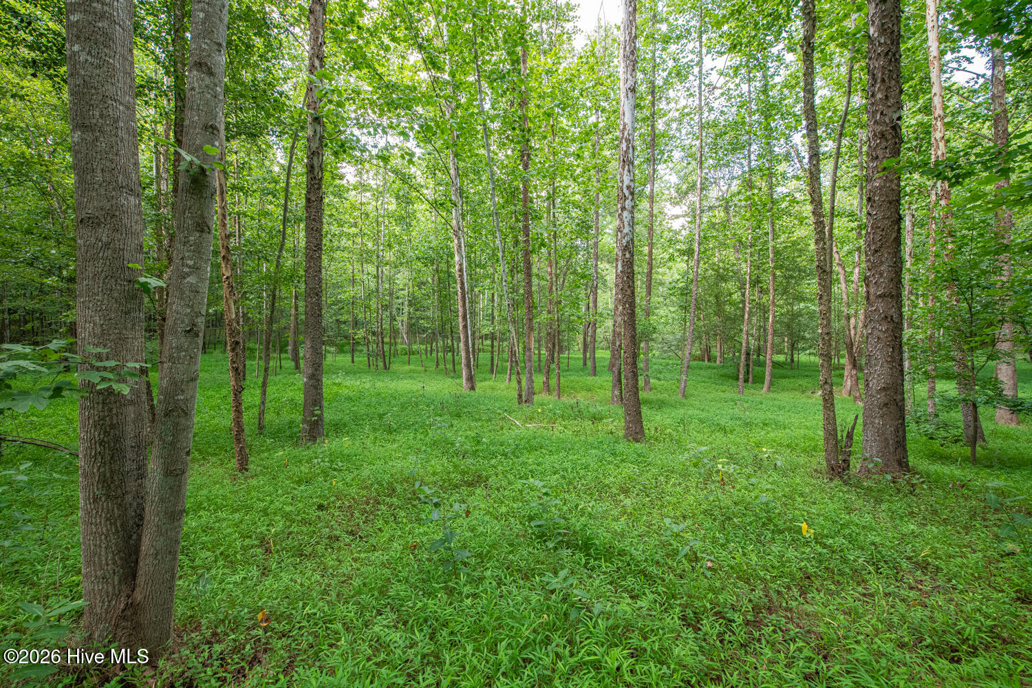 8942 Spearman Road Property Photo 44