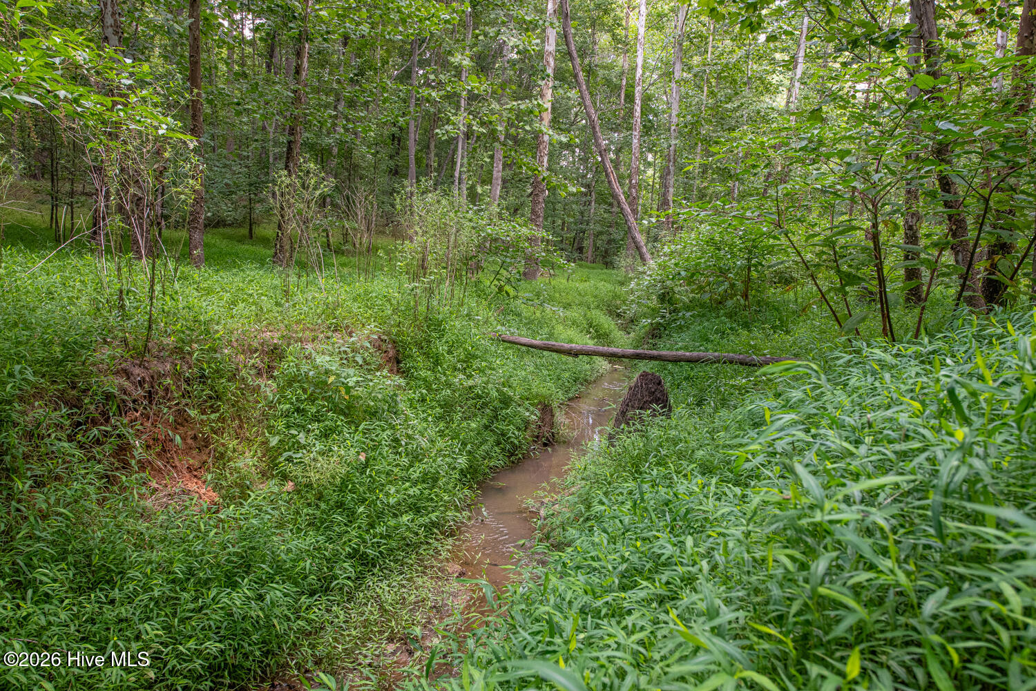 8942 Spearman Road Property Photo 45