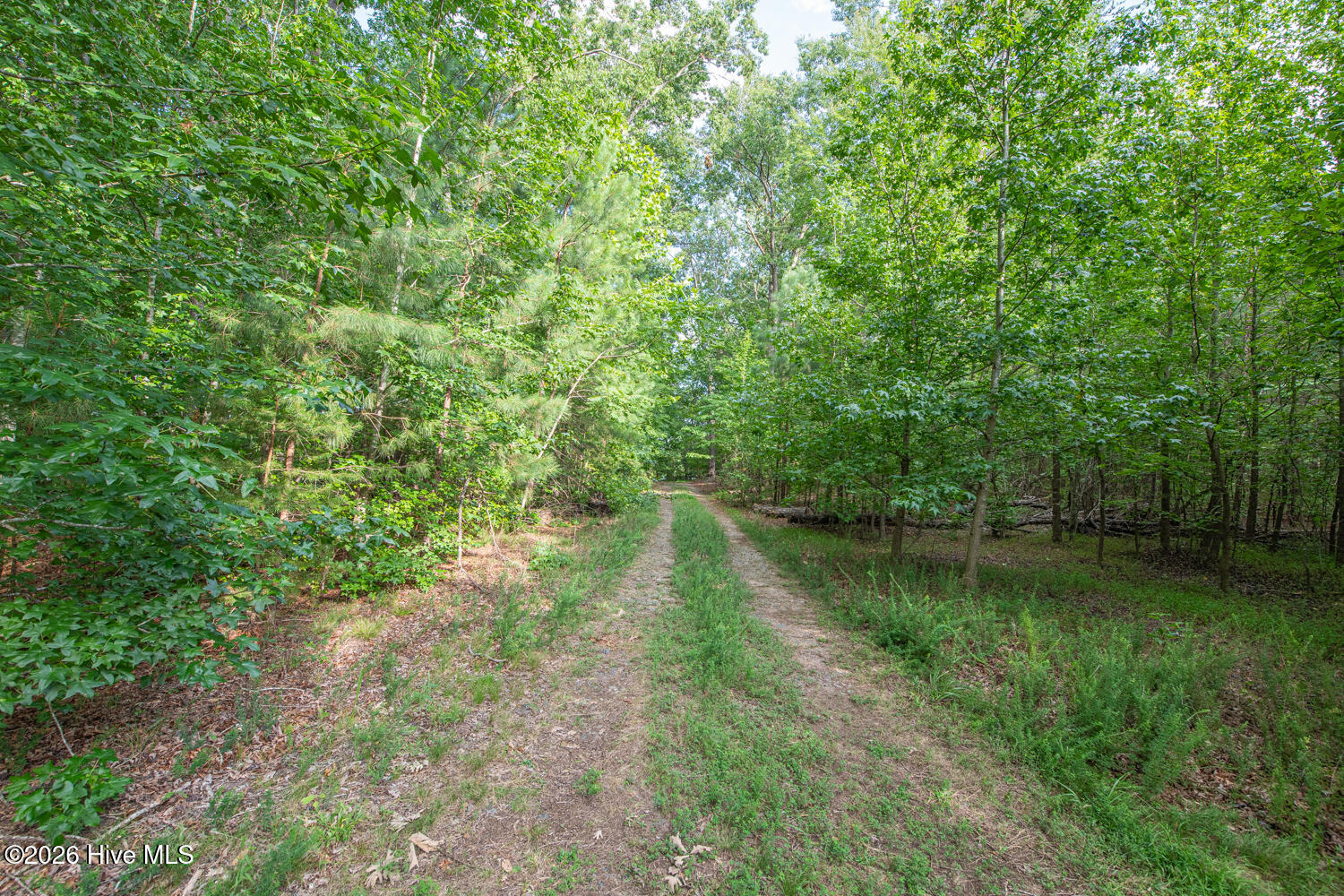8942 Spearman Road Property Photo 46