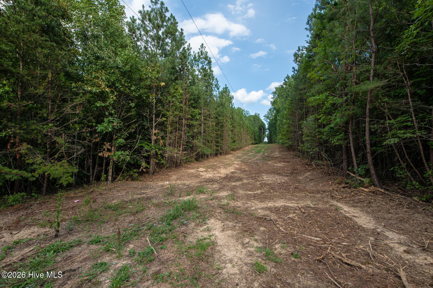 8942 Spearman Road Property Photo 47