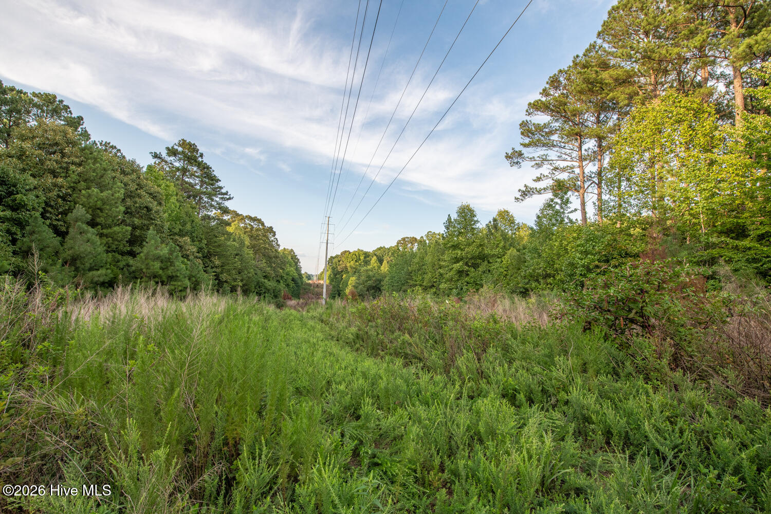 8942 Spearman Road Property Photo 48
