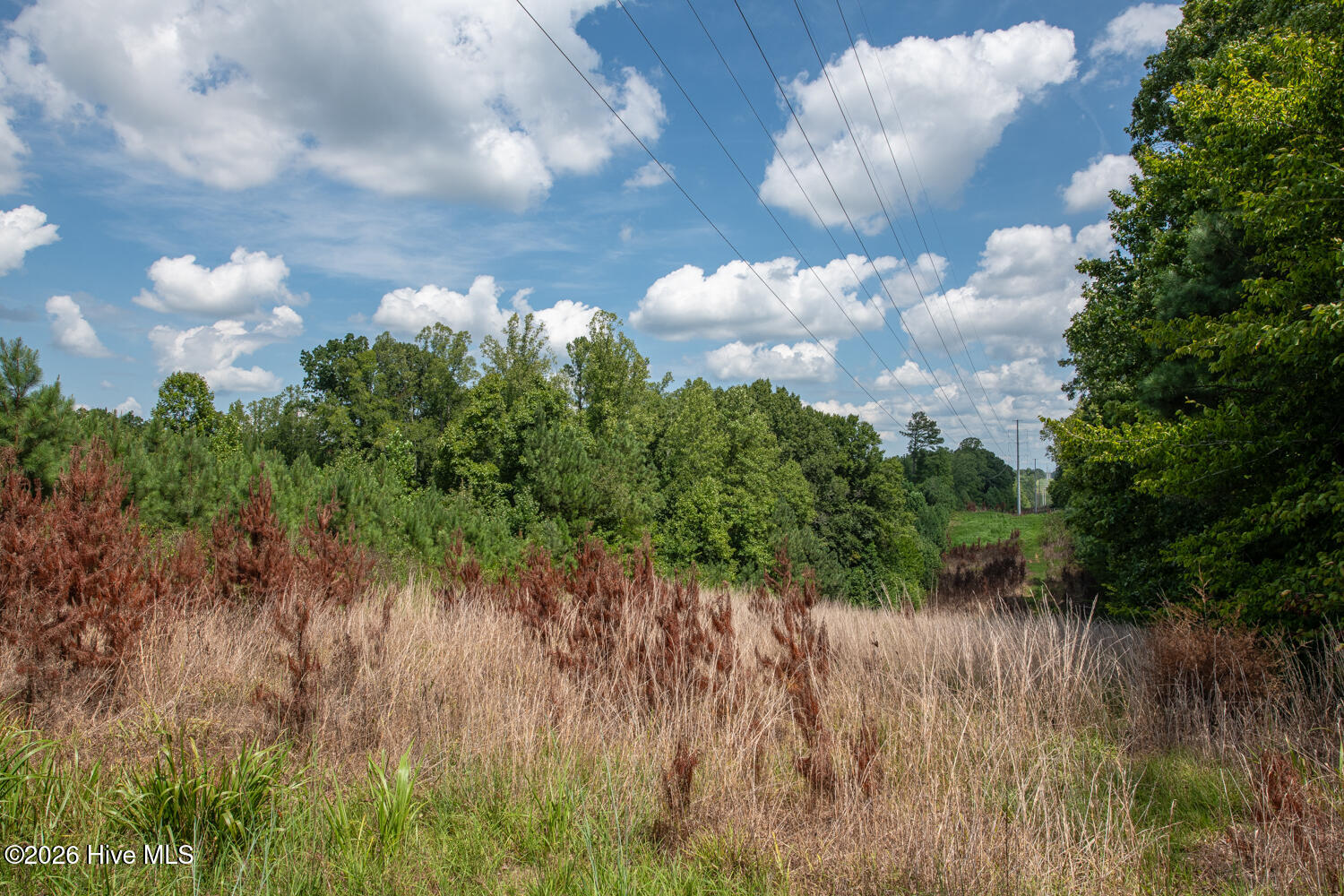 8942 Spearman Road Property Photo 49