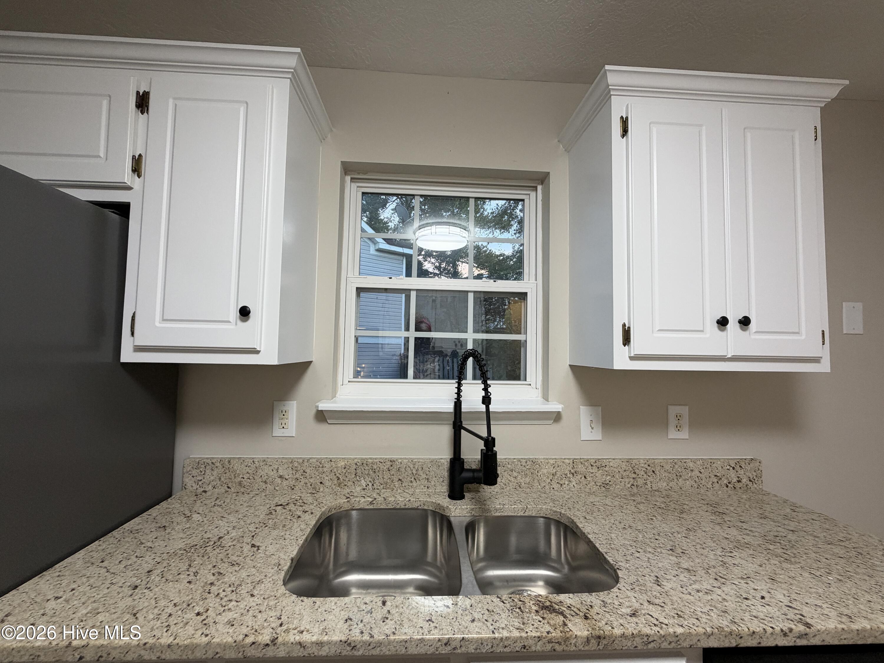 209 Sarah Creek Court Property Photo 17