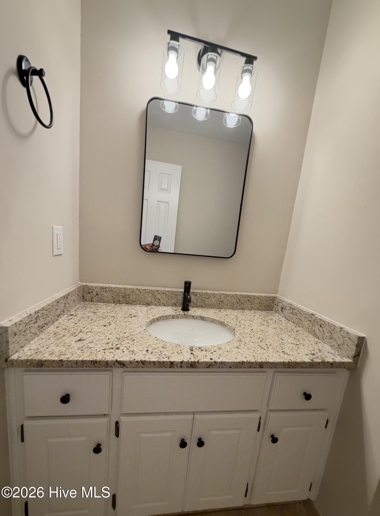 209 Sarah Creek Court Property Photo 25