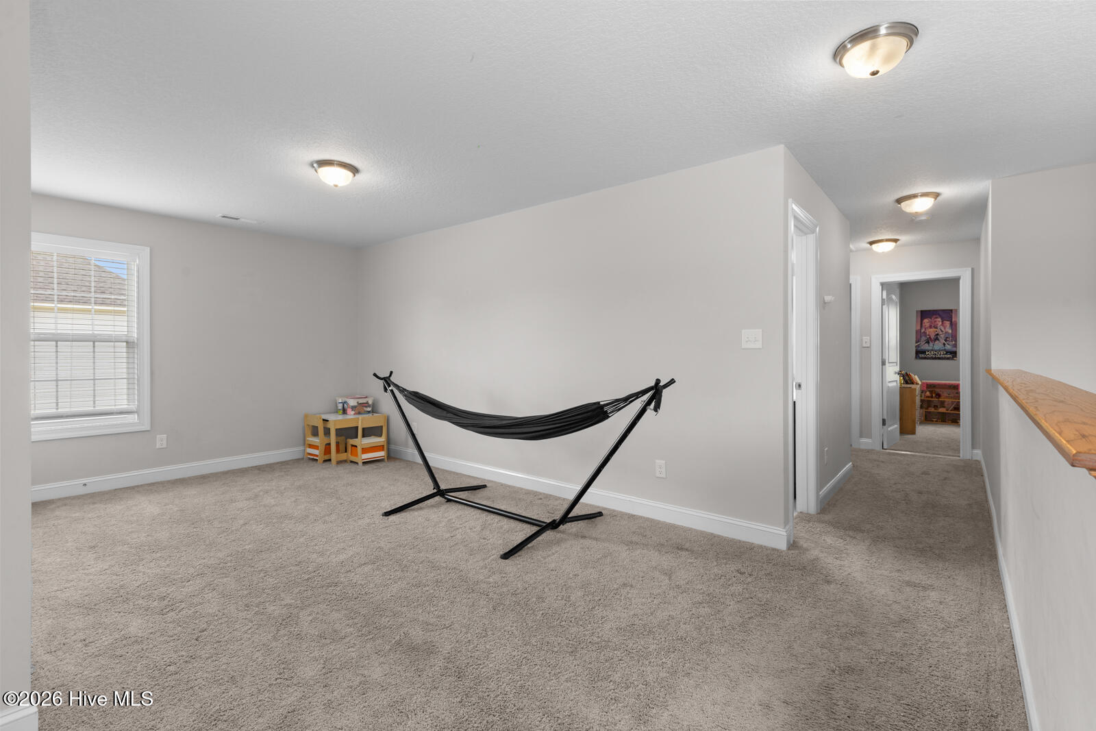 209 Gilliken Court Property Photo 22