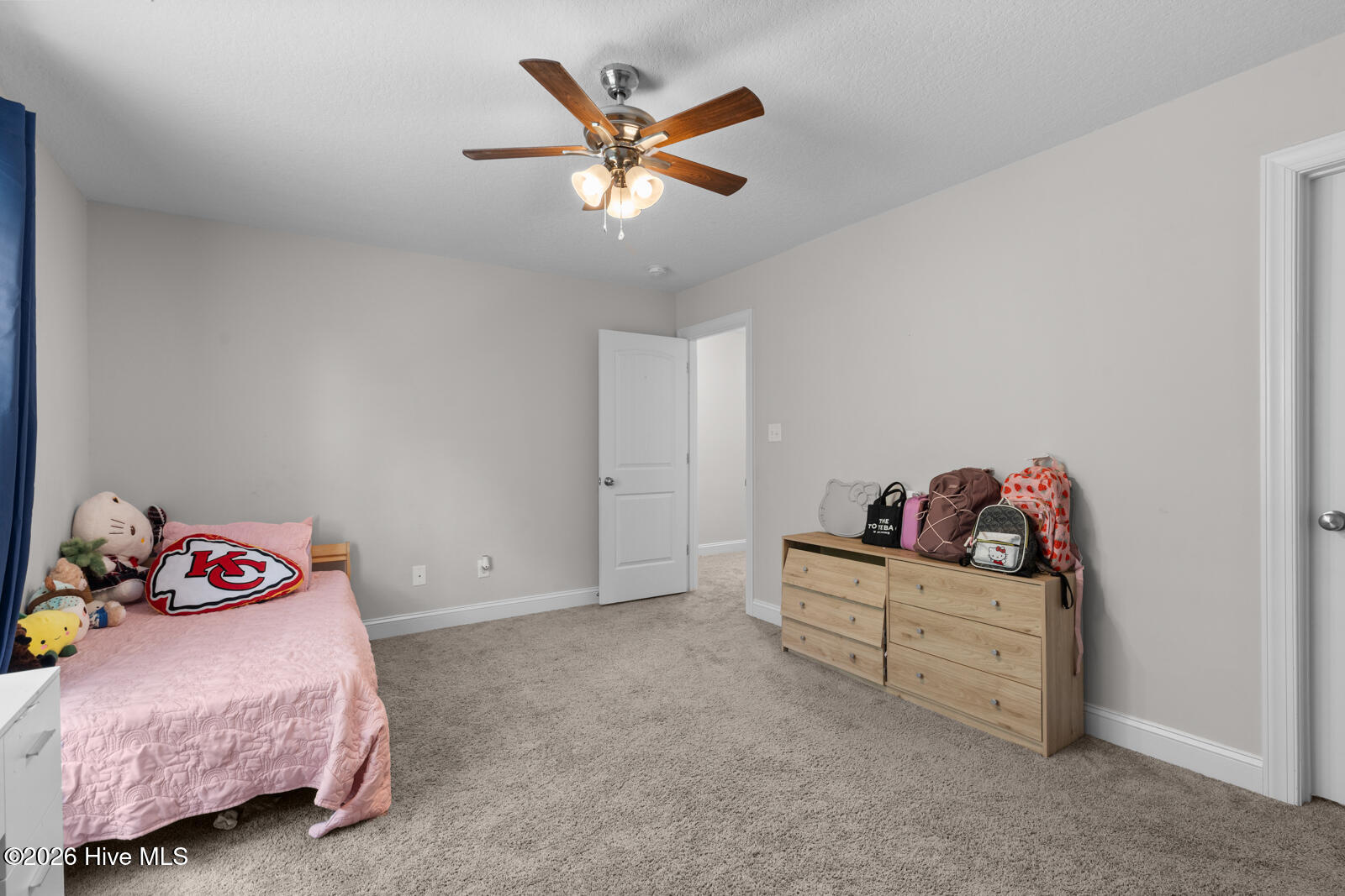 209 Gilliken Court Property Photo 23