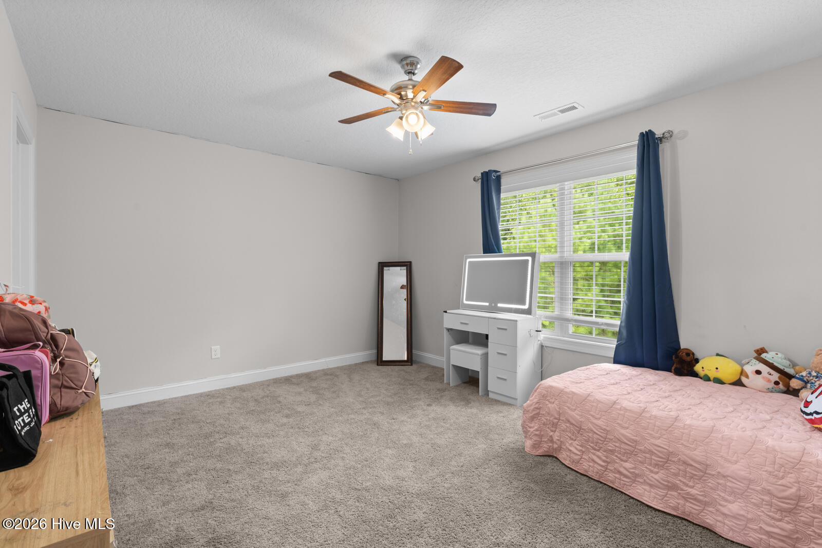 209 Gilliken Court Property Photo 24
