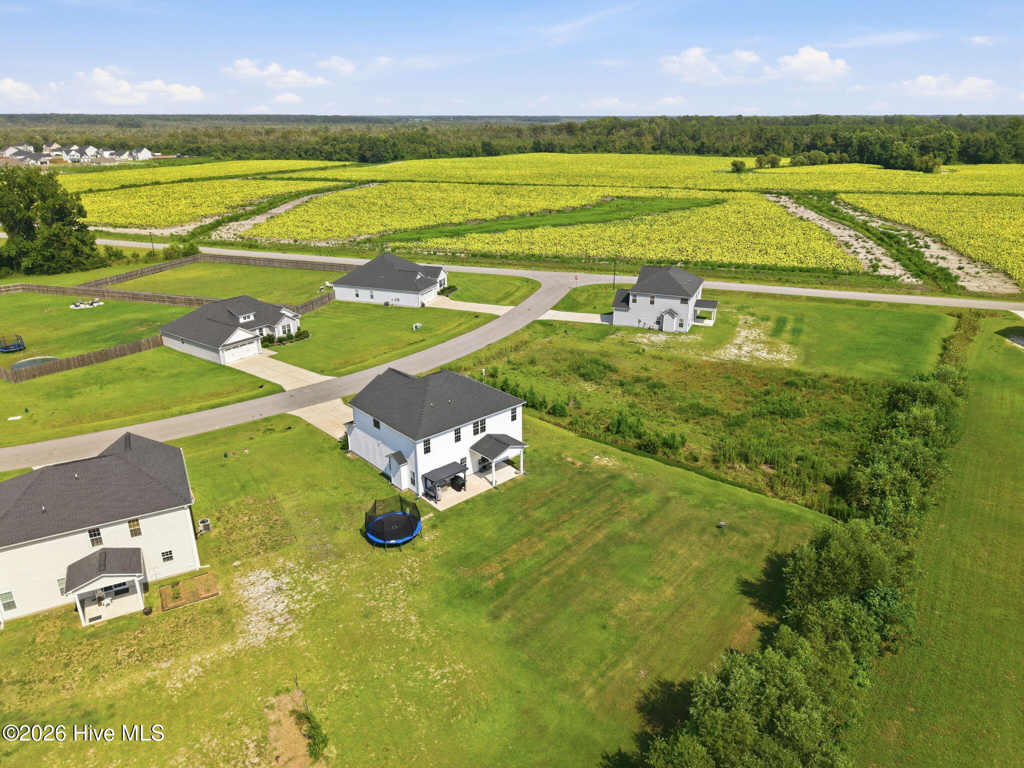 305 Lonesome Dove Court Property Photo 30