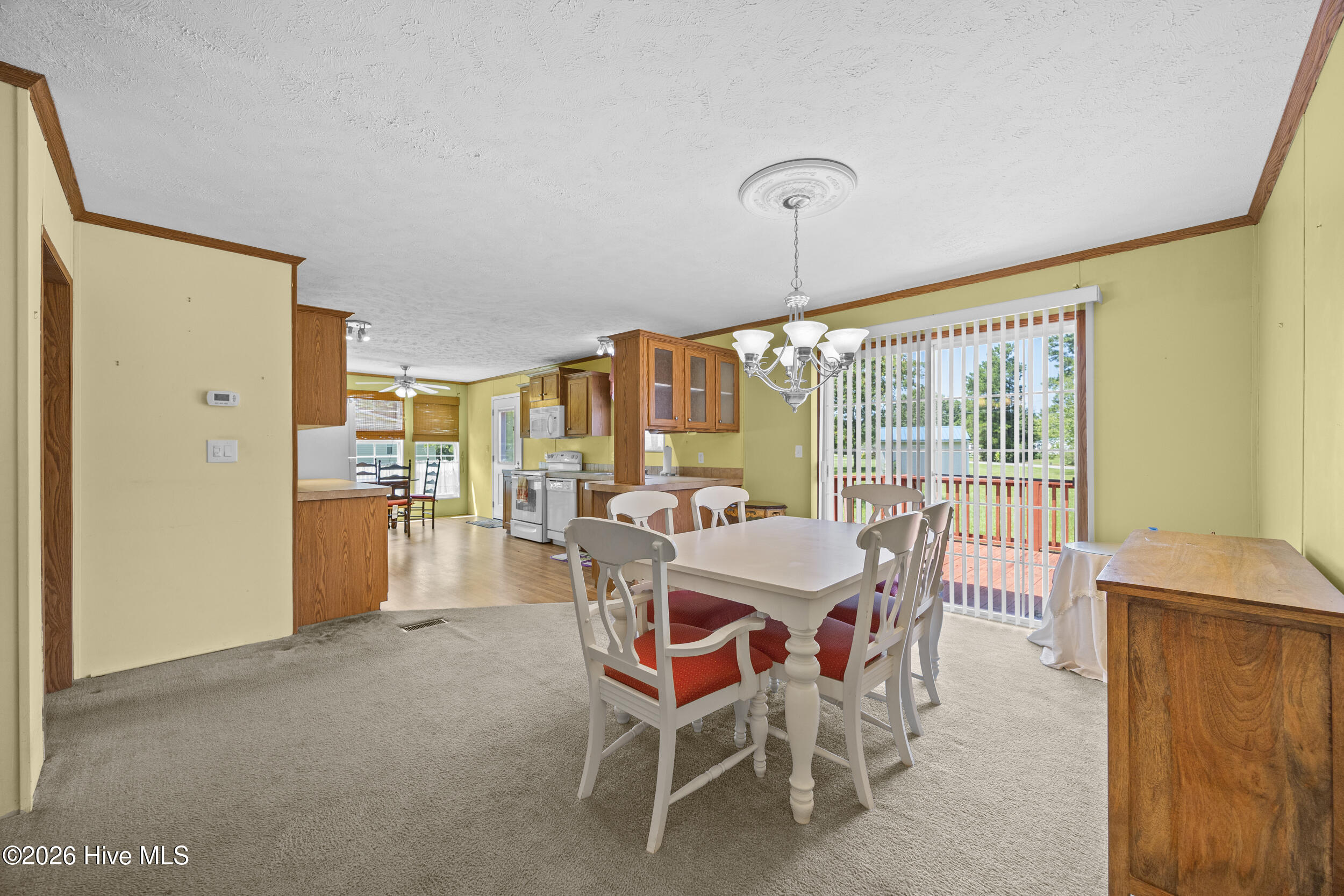207 Betty Drive Property Photo 9