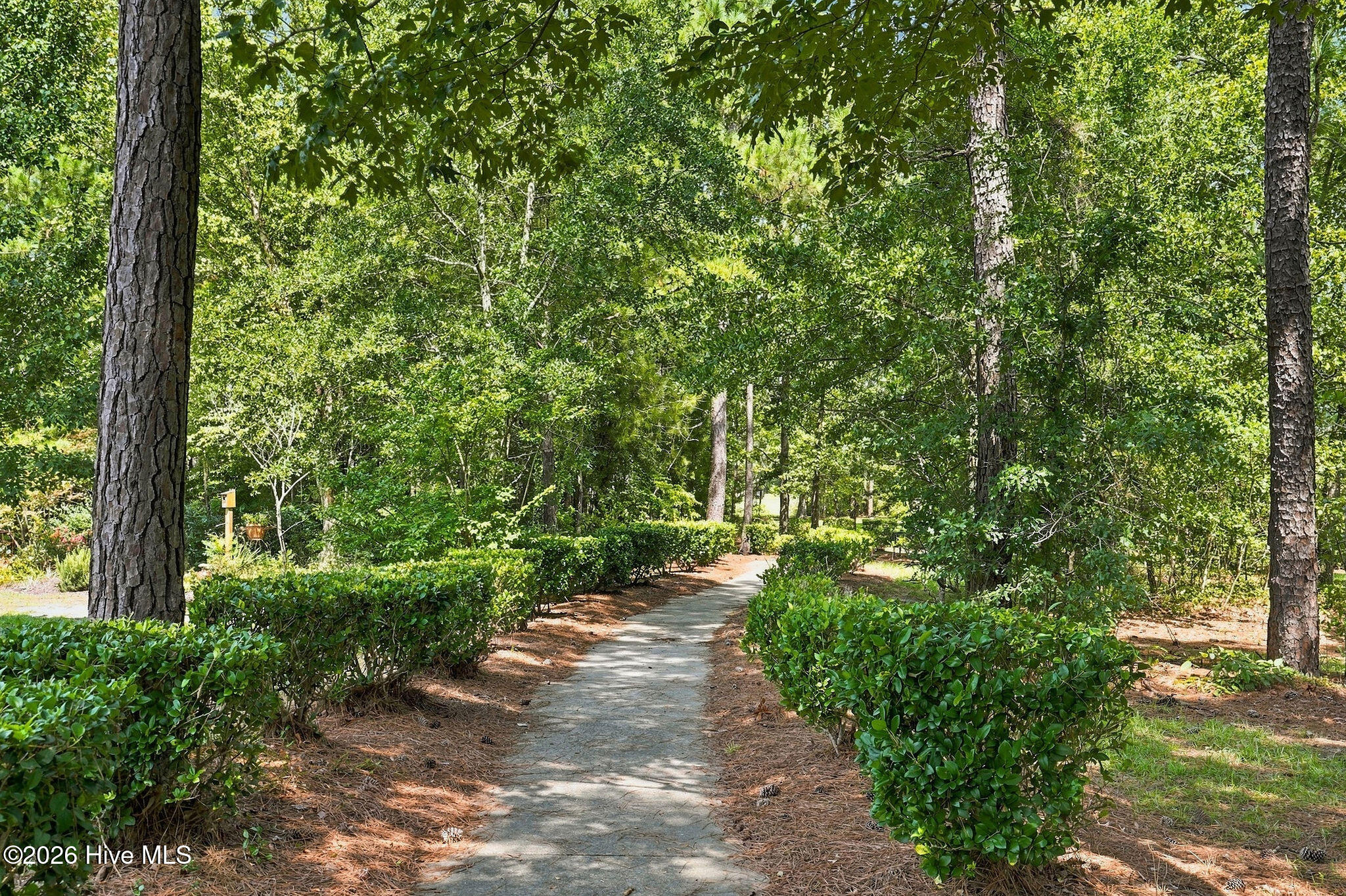 1197 Sabel Loop Se Property Photo 57