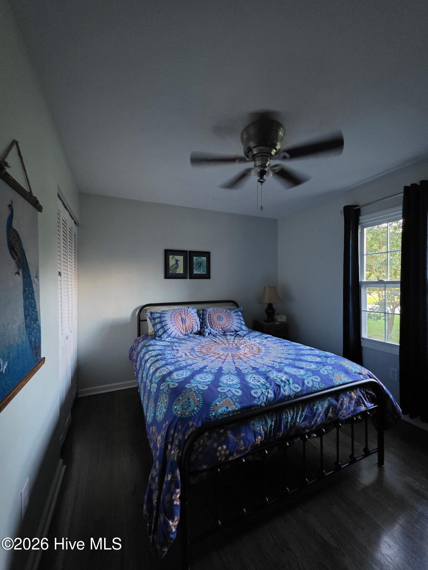558 Elm Street Property Photo 13