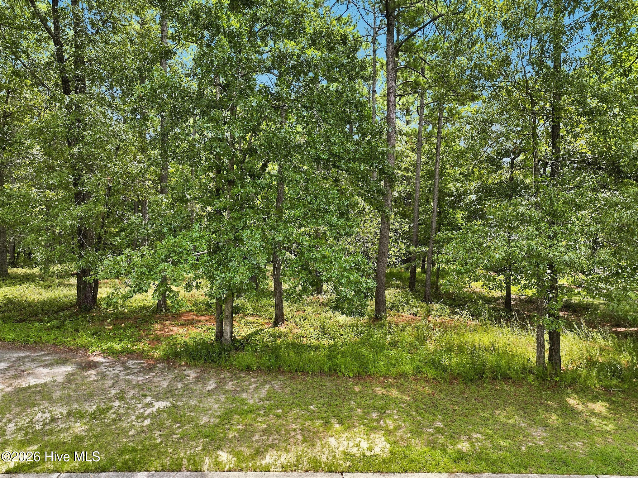 499 209 Hearthside Drive Se Property Photo 5