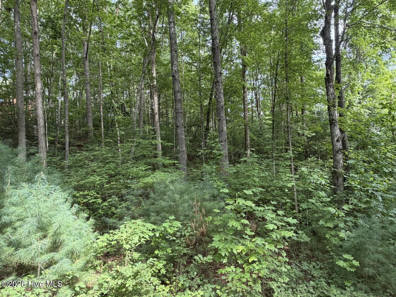 Lot 9 27 Confederate Circle Property Photo 4