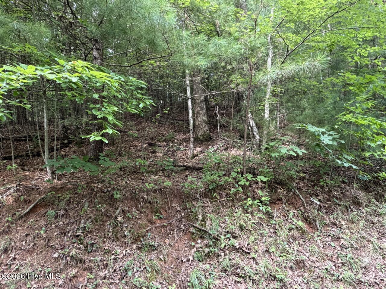 Lot 9 27 Confederate Circle Property Photo 5