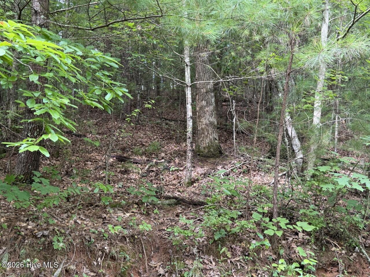 Lot 9 27 Confederate Circle Property Photo 6