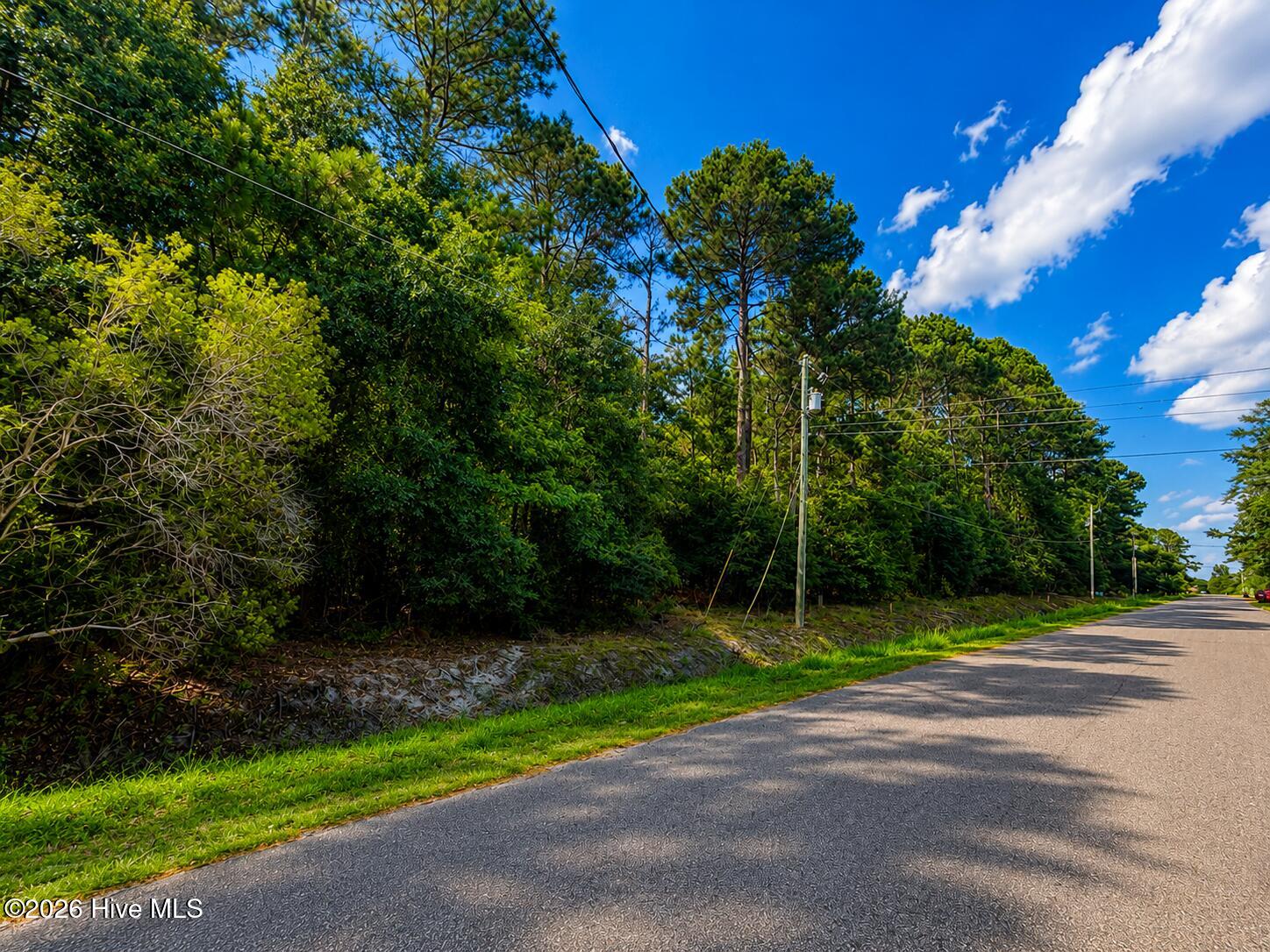237 27 Pages Creek Drive Property Photo 2