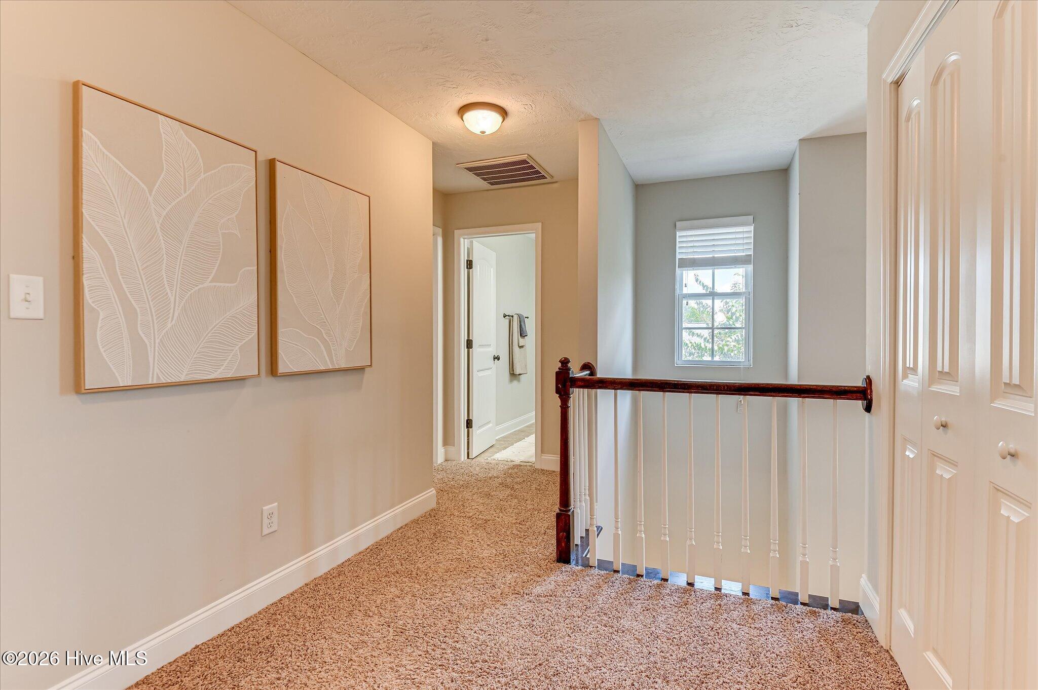 3912 Griese Lane Property Photo 24