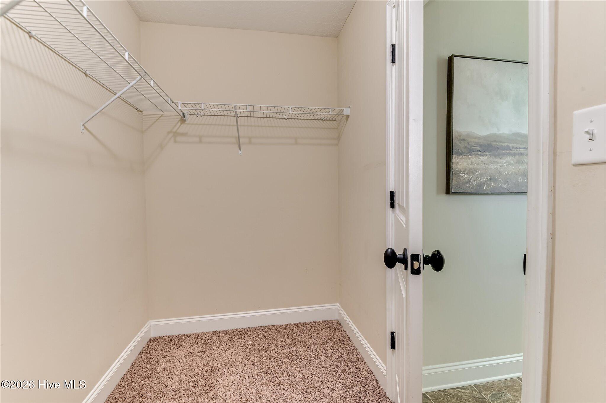 3912 Griese Lane Property Photo 36