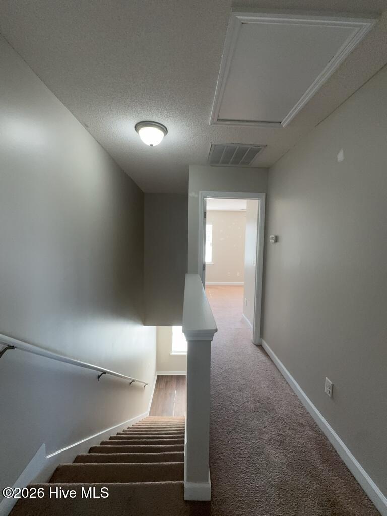 309 Burley Drive 2 Property Photo 6